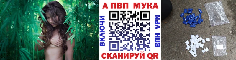 A-PVP крисы CK  цены наркотик  Асино 