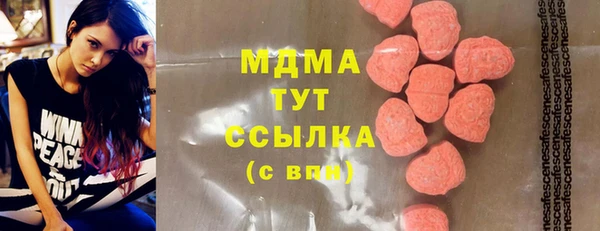 гашик Алексеевка